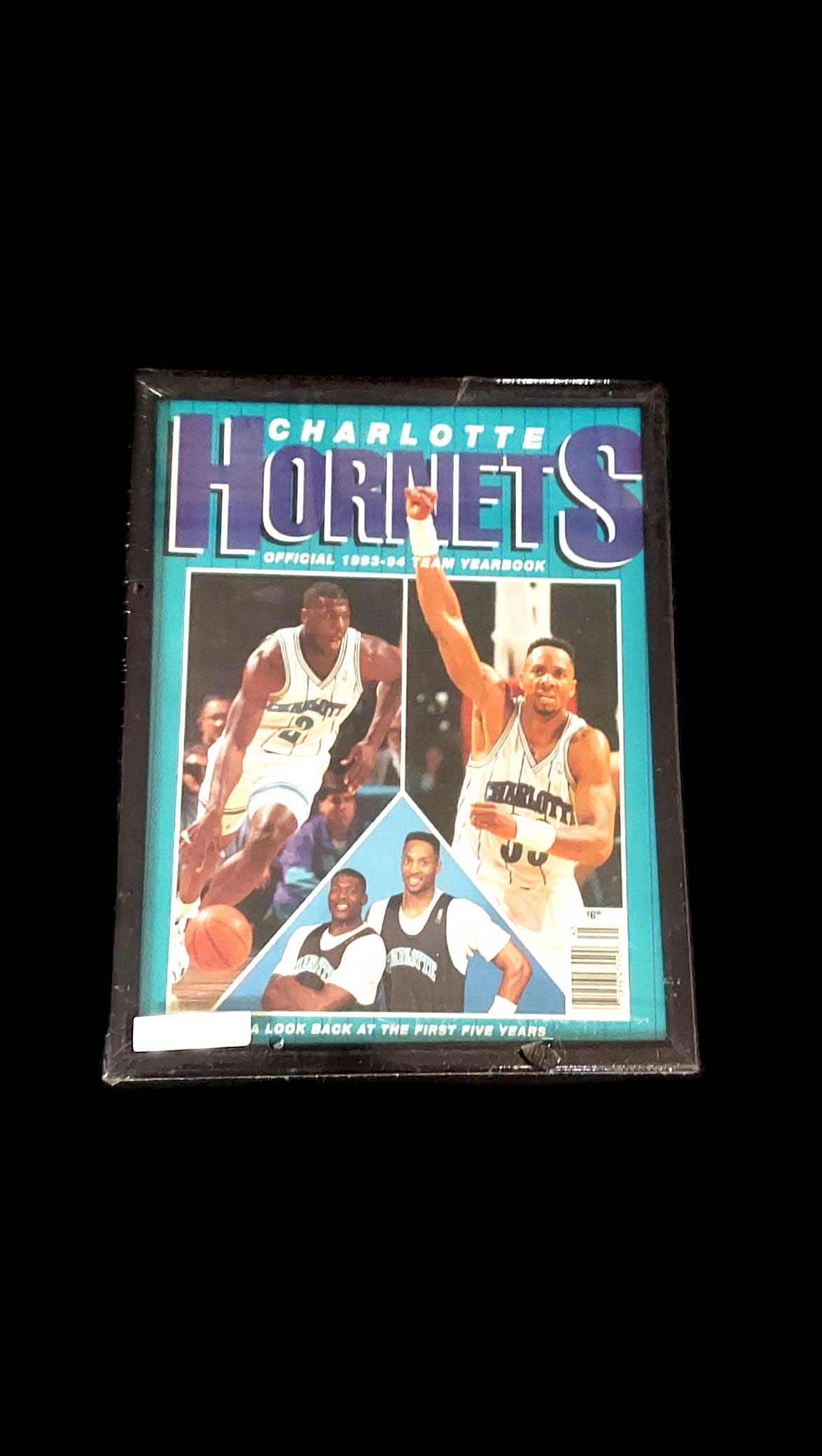 Charlotte-Hornets-Official-1993-94-Team-Yearbook