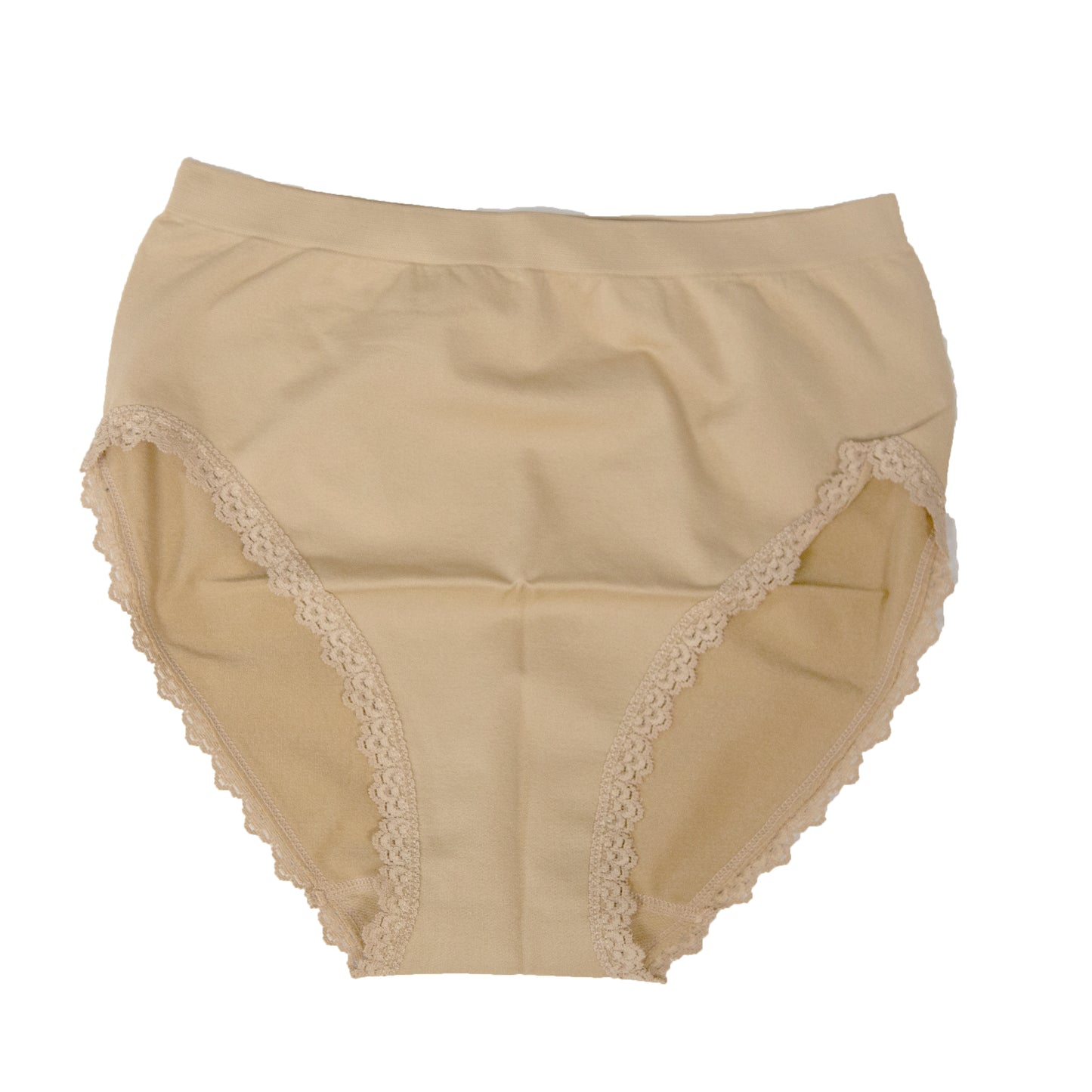 Genie Briefs - Lace - Nude - 2X